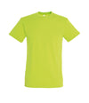 SOL'S Regent T-Shirt - T Shirt Printing UK