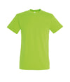 SOL'S Regent T-Shirt - T Shirt Printing UK