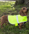 Enhanced Visibility Reflective Dog Vest - T Shirt Printing UK