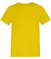 AWDis Kids 150 T-Shirt