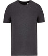Native Spirit Unisex T-Shirt