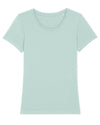 Women's Stanley Stella Expresser iconic fitted t-shirt